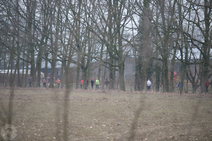 Hemmense Bos Cross 2018