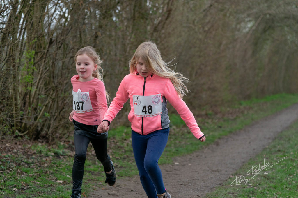 Hemmense Bos Cross 2019